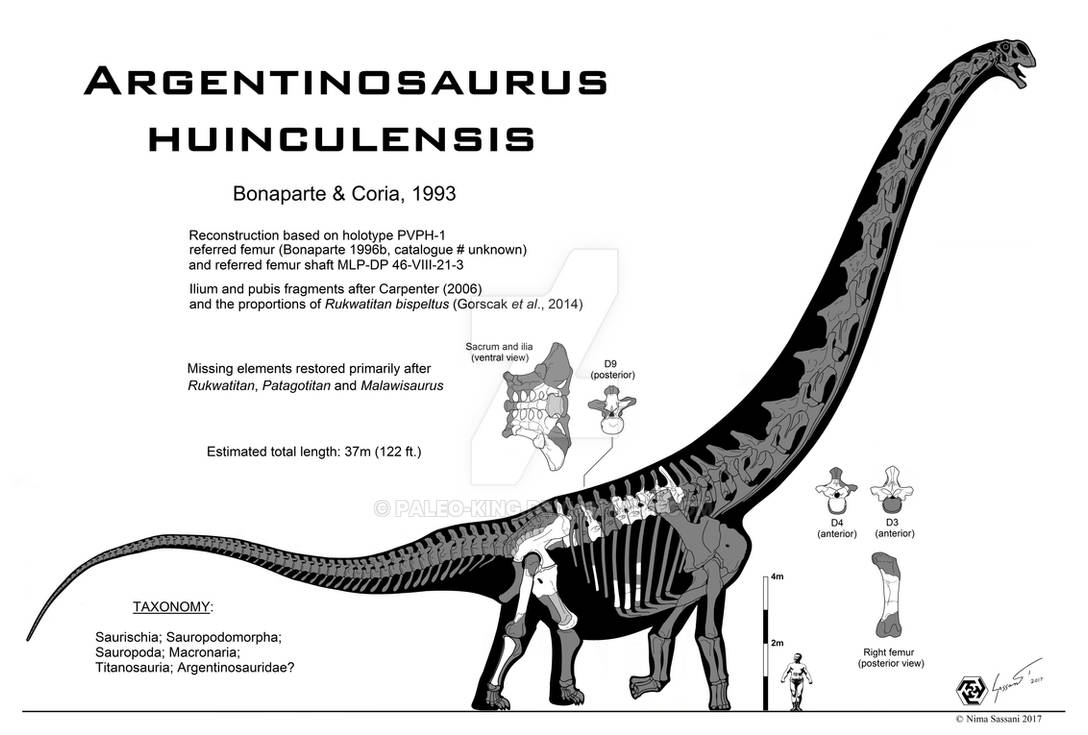 Argentinosaurus huinculensis Mk. II