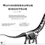 Ruyangosaurus giganteus Mk-II