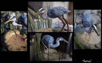 :.Great Heron.: by PantheraSculptures