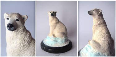 :.Polar Bear.: