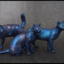 :.Galaxy cats.: