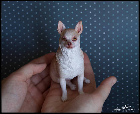 Snow the chihuahua - Sculpture
