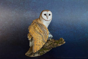 Barn owl - Polymer clay sculpture