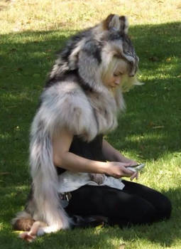 Wolf Pelt