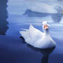 Curious White Duck