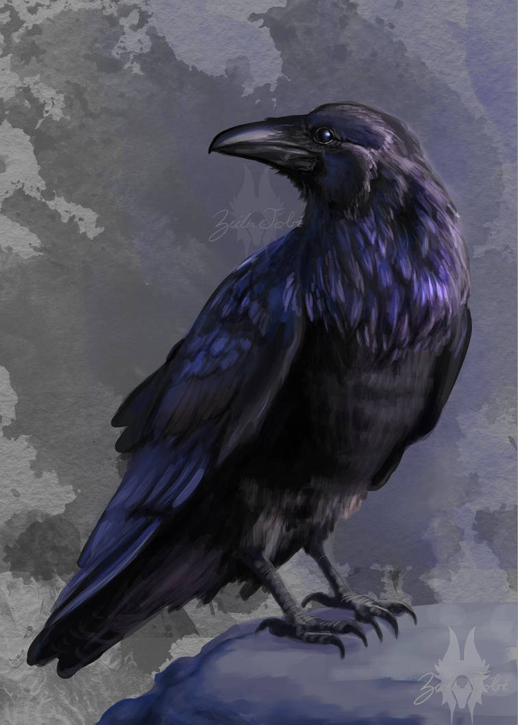 Raven Practice by ZeilerTobi on DeviantArt