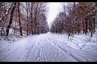 Frosty Road