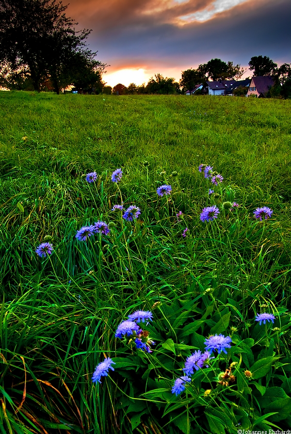 Last light of the day