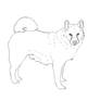 Norwegian Elkhound Lineart