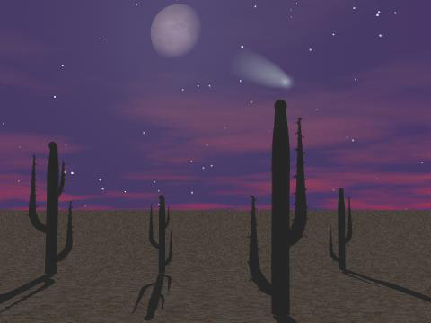 Desert Night