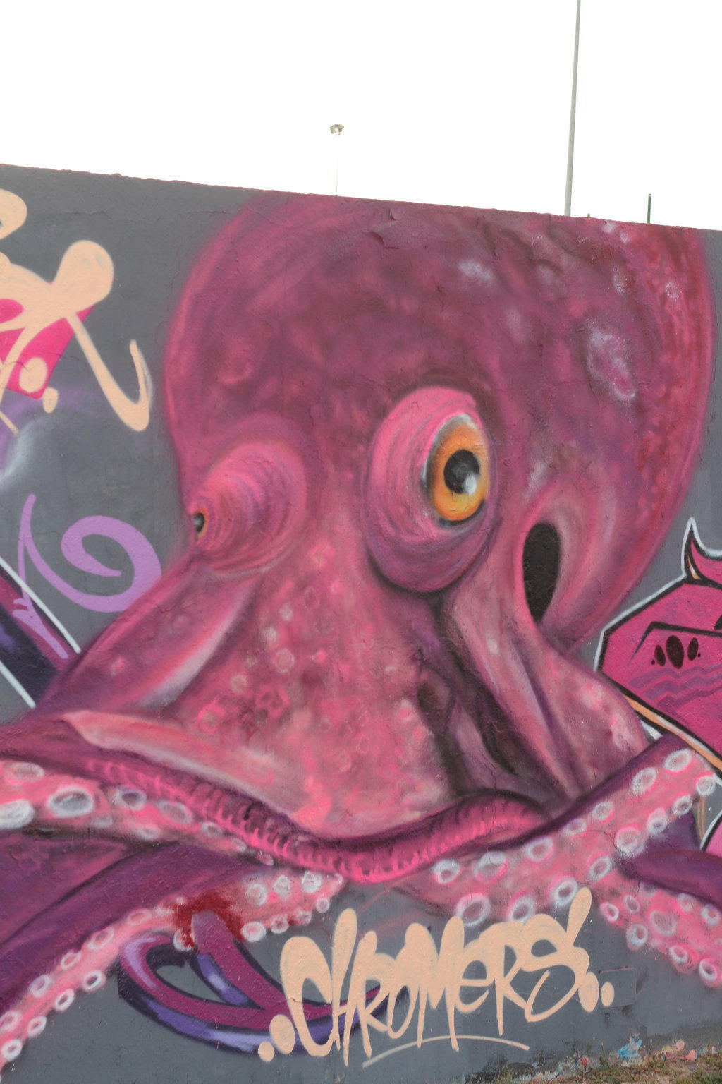 flashy octopus  wall by chromers