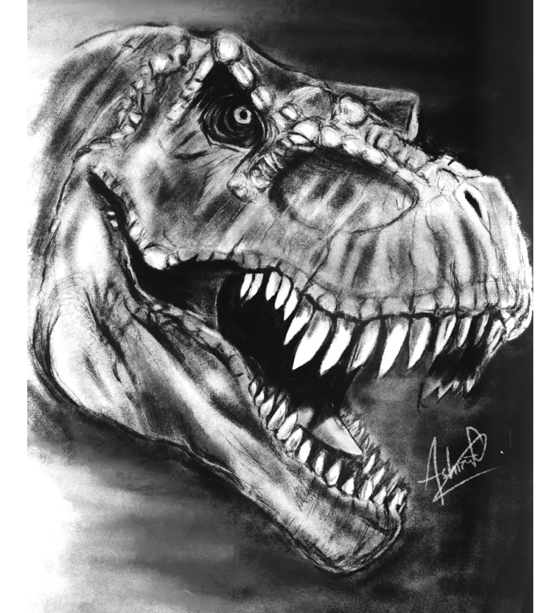 Charcoal drawing of a Tyrannosaurus Rex by p3vstudio on DeviantArt