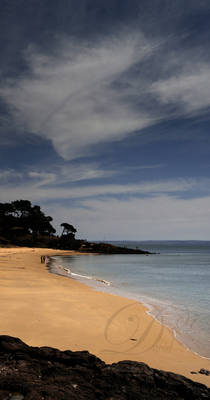 panorama philip island beach