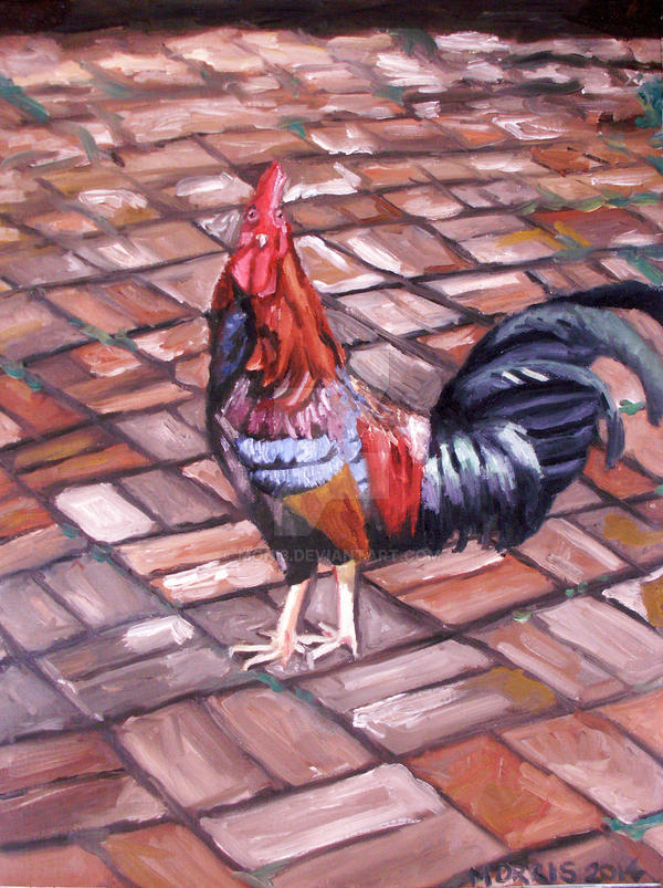 Key West Rooster