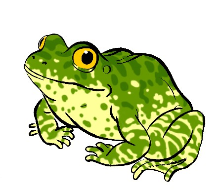 frog