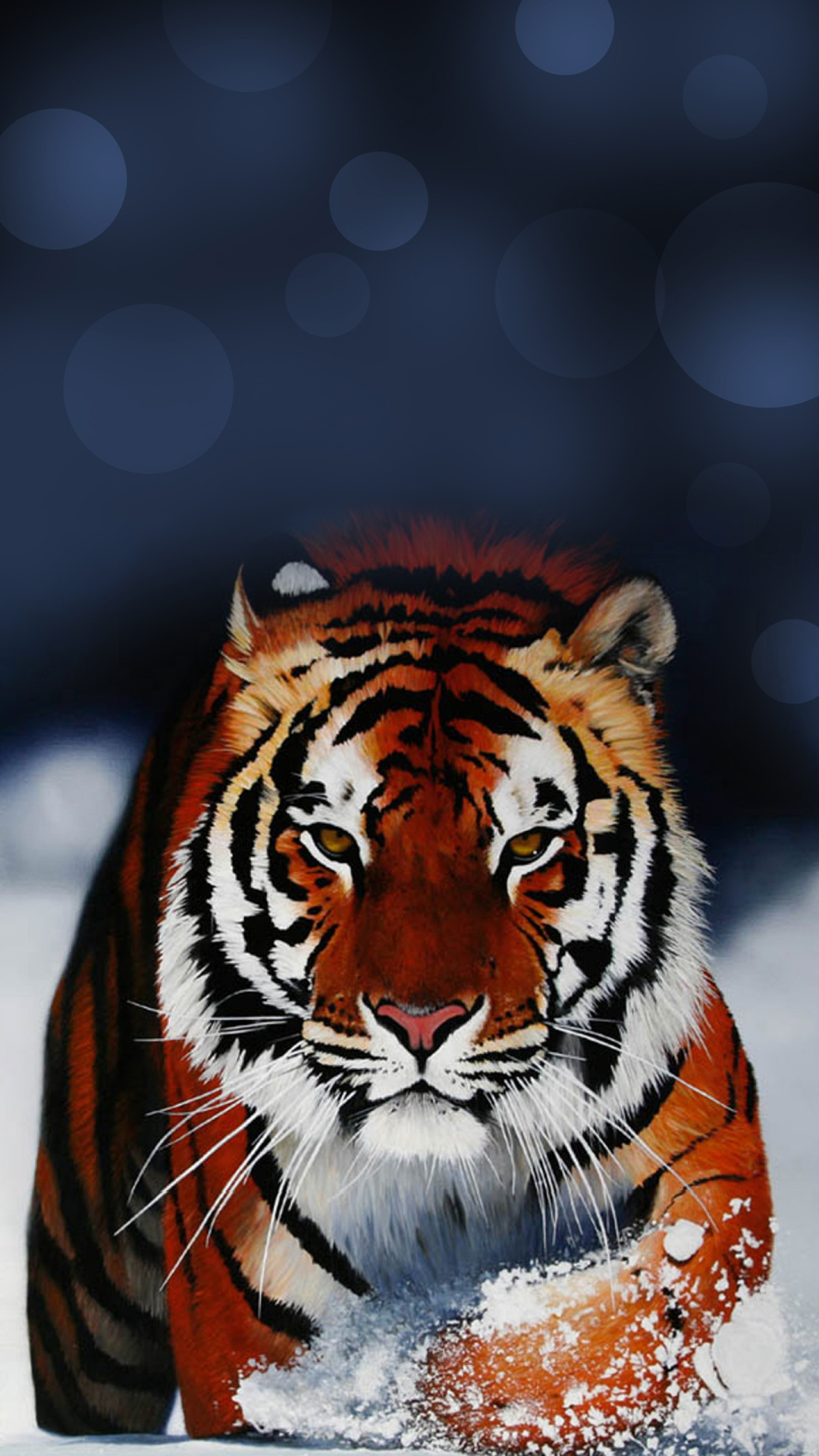Tiger Wallpapers iPhone 6S Plus by mrjok2016 on DeviantArt