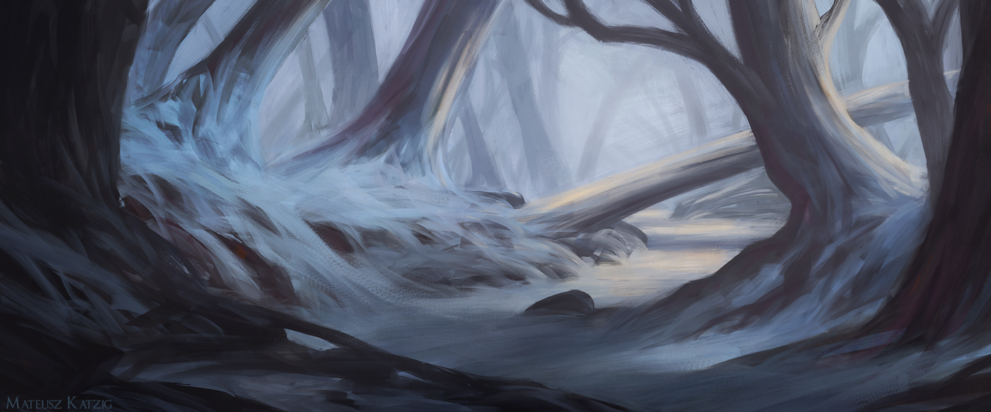 Snowy forest