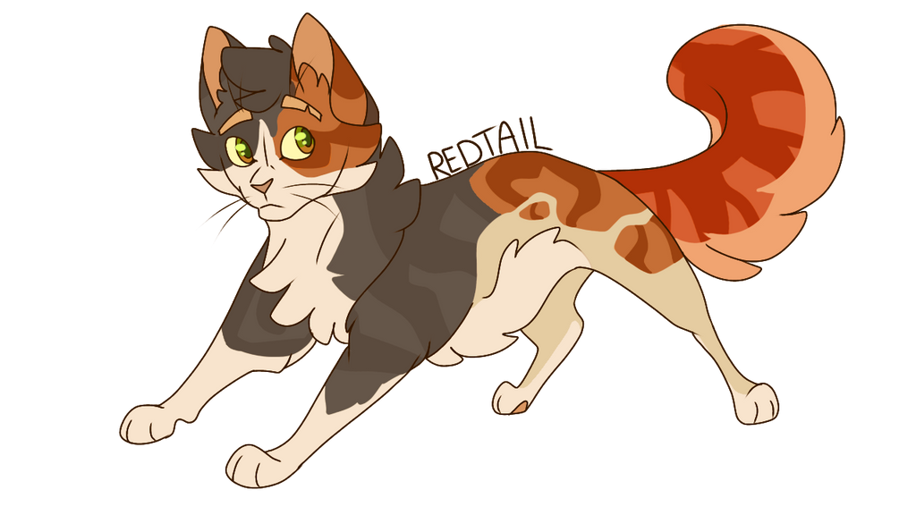A collection of arts done in 2020 - Warrior Cats