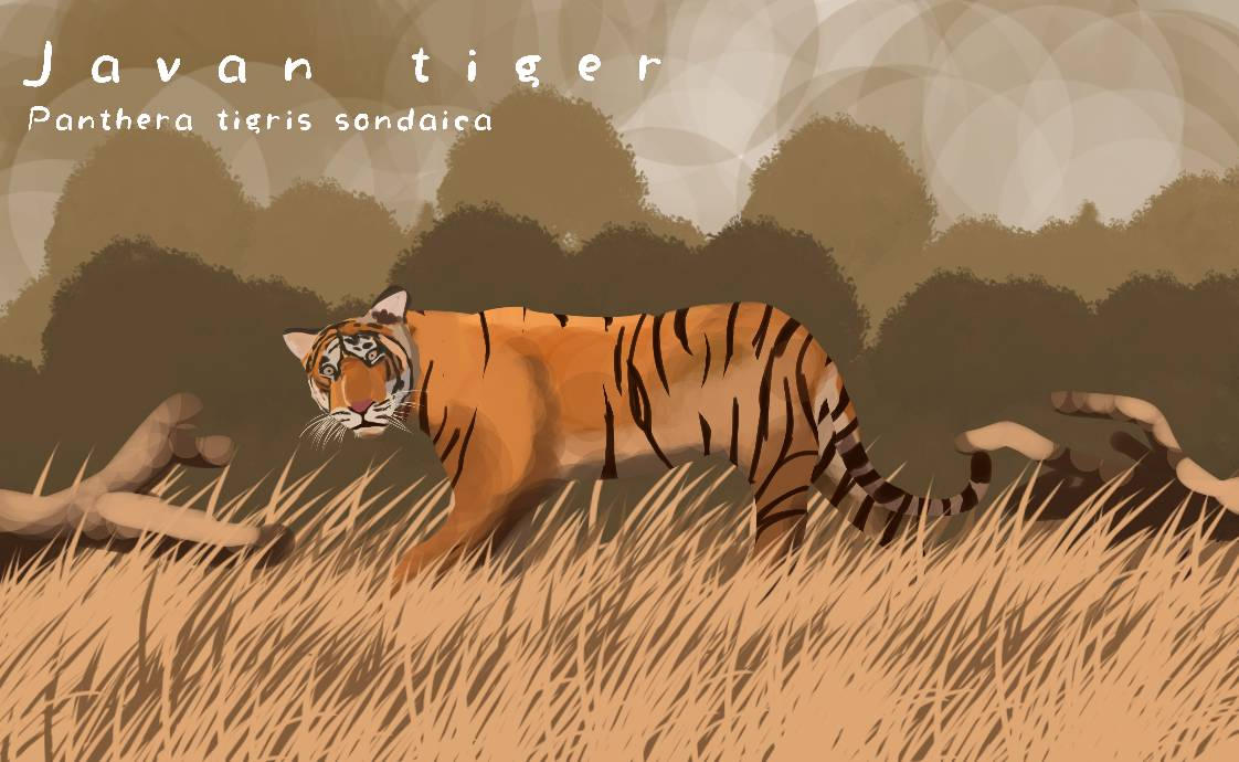 Javaan Tiger Javan tiger Panthera tigris sondaica by EASTGERMANTIMUR on DeviantArt