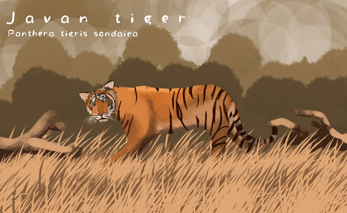 Javan tiger Panthera tigris sondaica by EASTGERMANTIMUR on DeviantArt