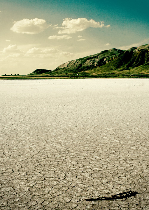 grass, cloud and salt lake