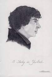 A Study In Sherlock