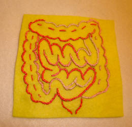 Intestine Embroidery