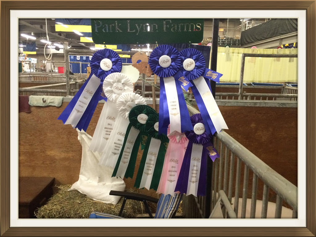 Royal Agricultural Winter Fair IV