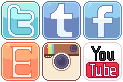 Social Media Buttons by RevPixy