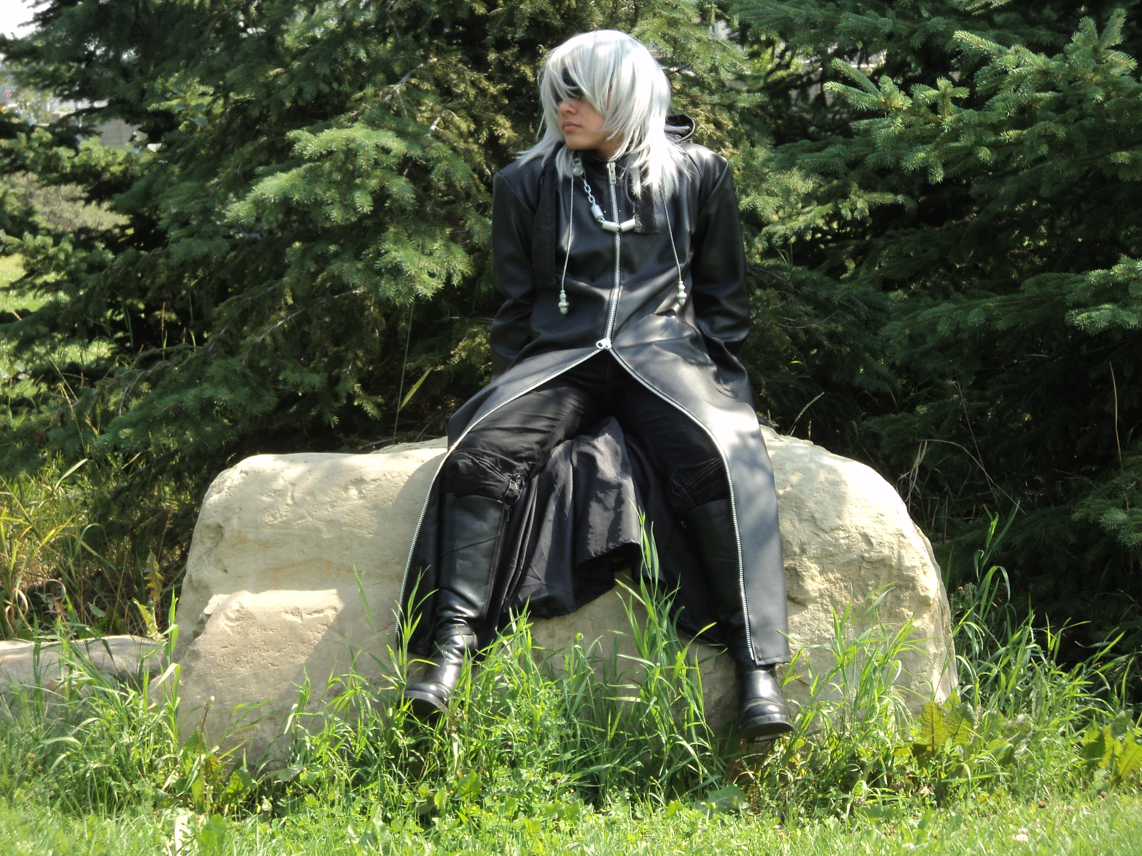 Kingdom Hearts - Organization XIII Riku