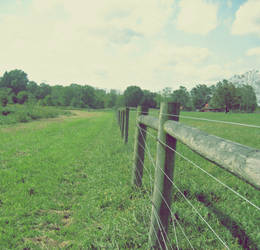 Long Fence