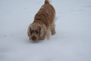 My snow princess