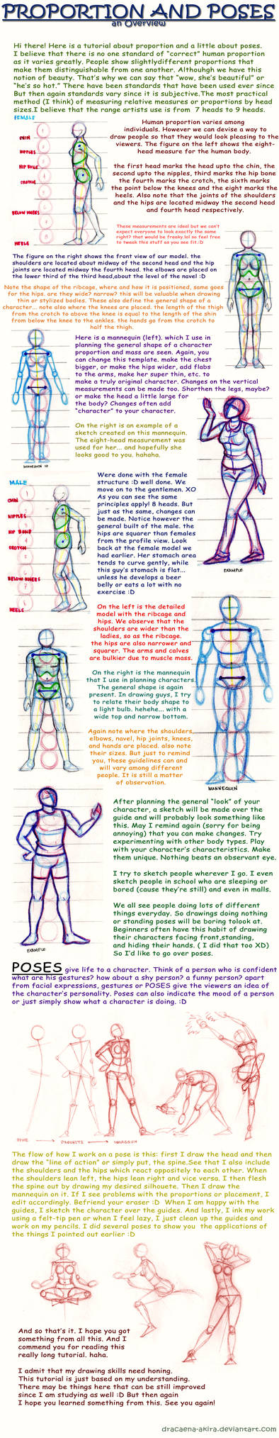 Proportion Poses Proportions and Poses by dracaena-akira on DeviantArt