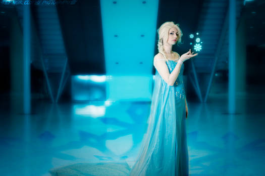 Elsa: Here I Stand