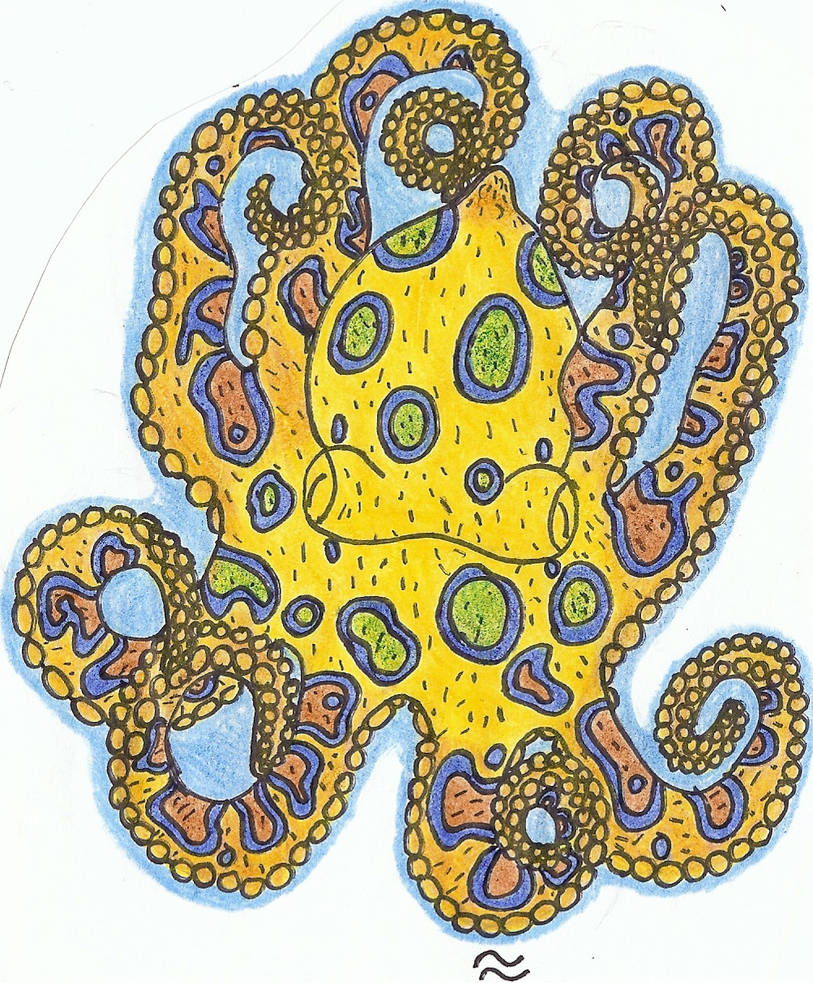 blue ringed octopus by seatosea on DeviantArt