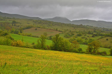 The meadows and the storm