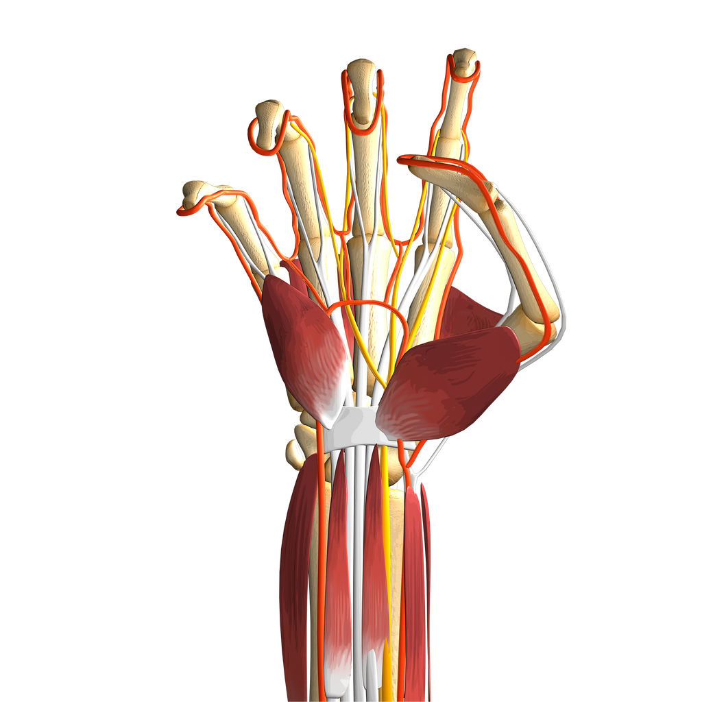 Hand Underneath Under Hand by ArthurDeather on DeviantArt