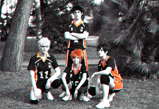 the Karasuno Team