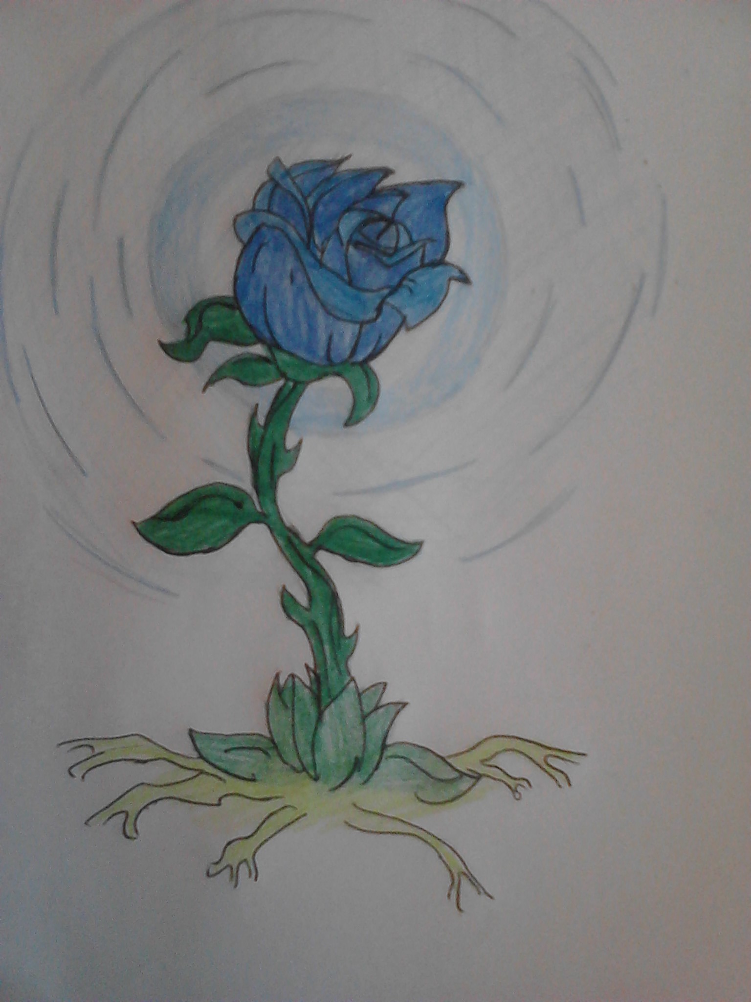 The Blue Rose