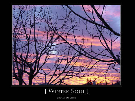 Winter Soul