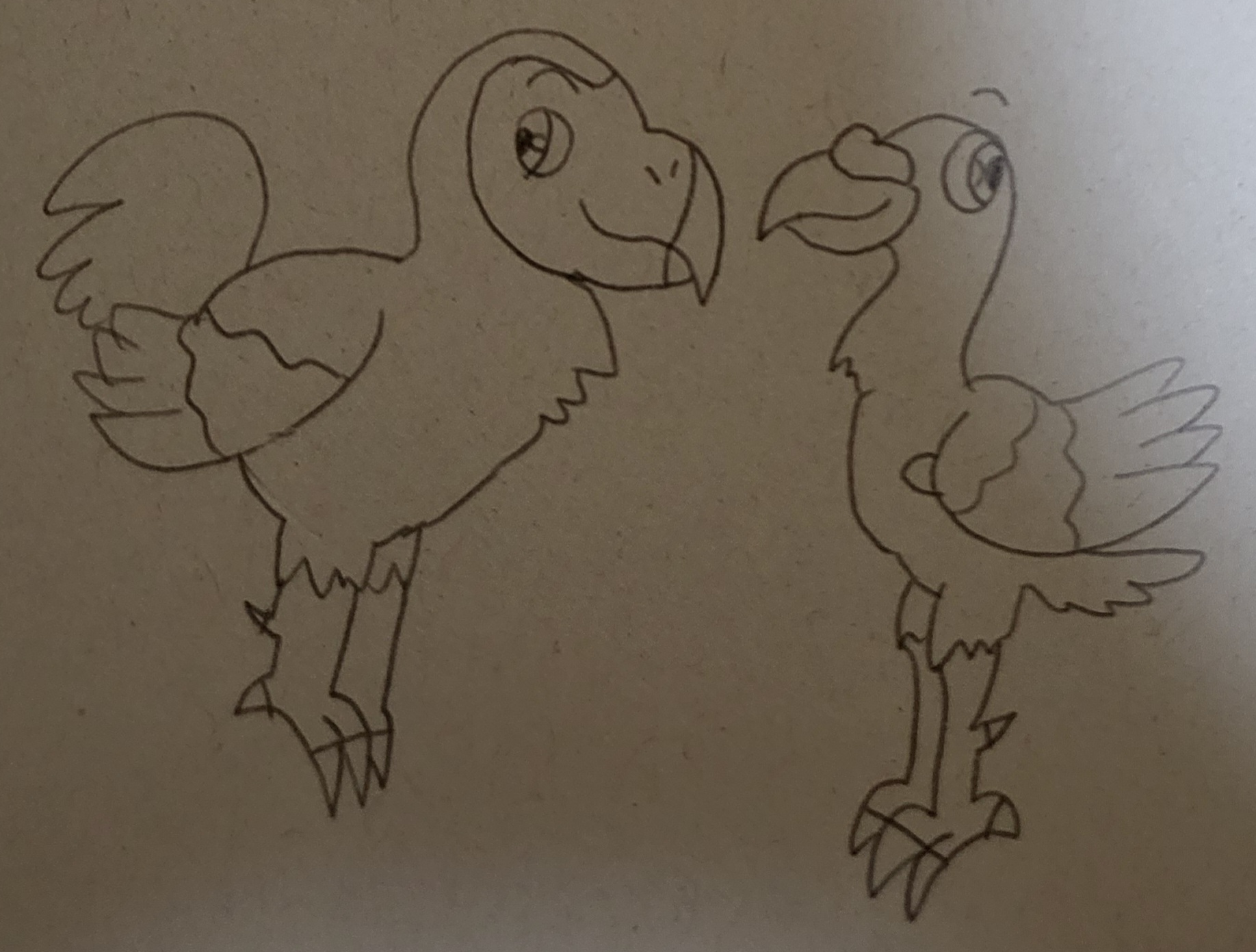 Dodo bird and Rodrigues solitaire by Jin-JibaKoma on DeviantArt