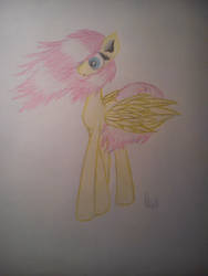 Fluttershy