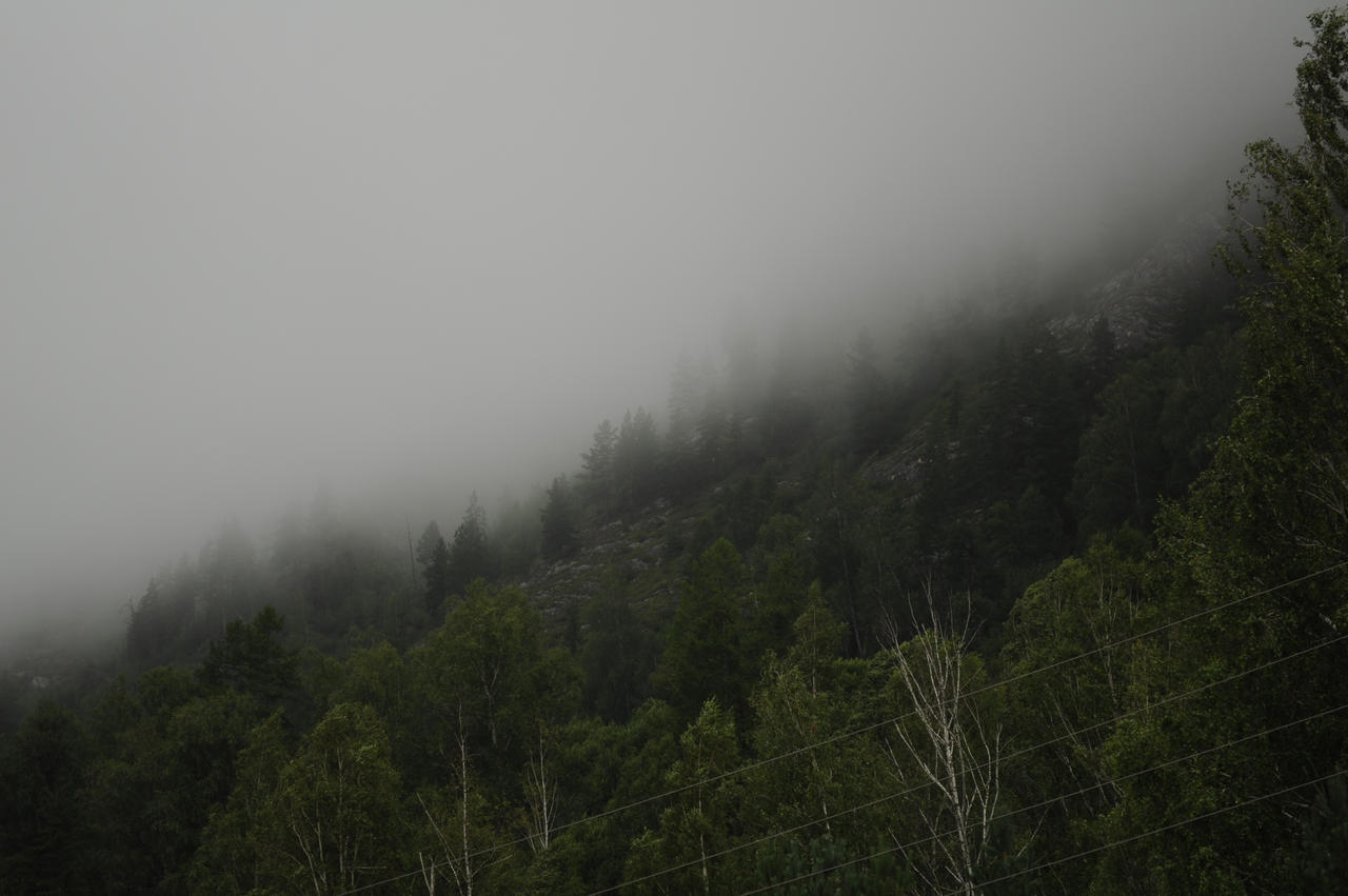 Mountain in the fog1