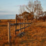 Old fence in field