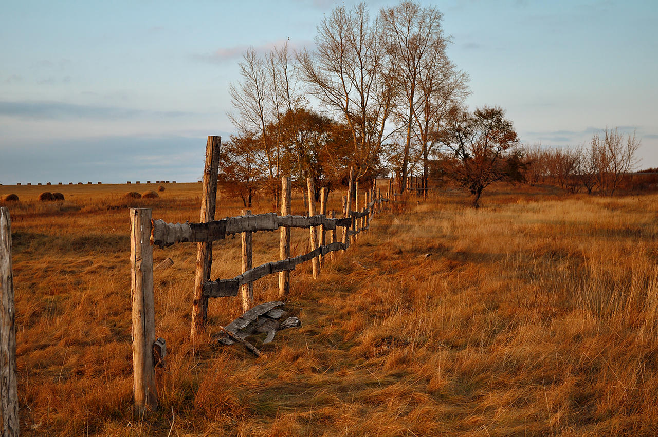 Old fence in field