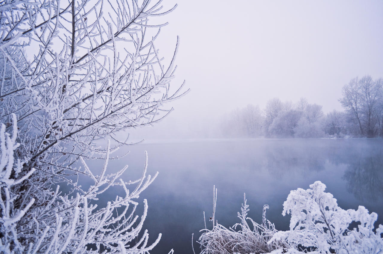 winter fog2