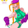 Cammy's Color Options