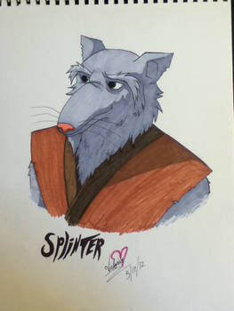 Splinter