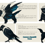 Outsider Common shapeshifts Ref