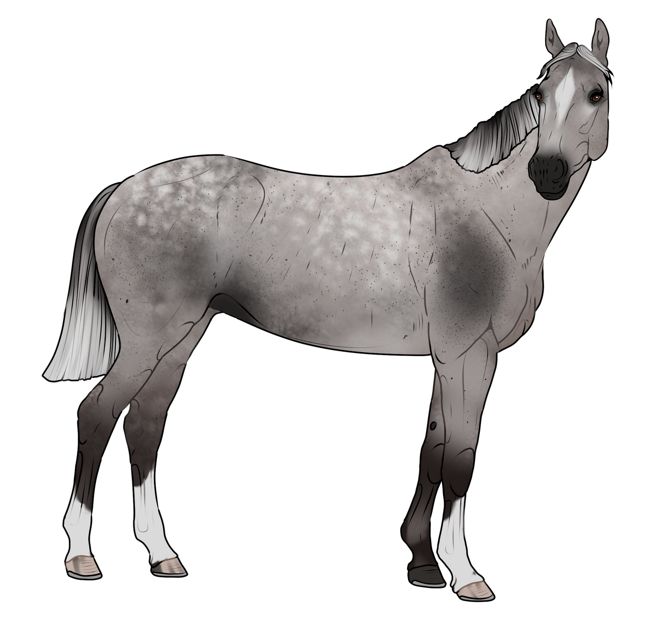 Naked Images Discount stripper poles